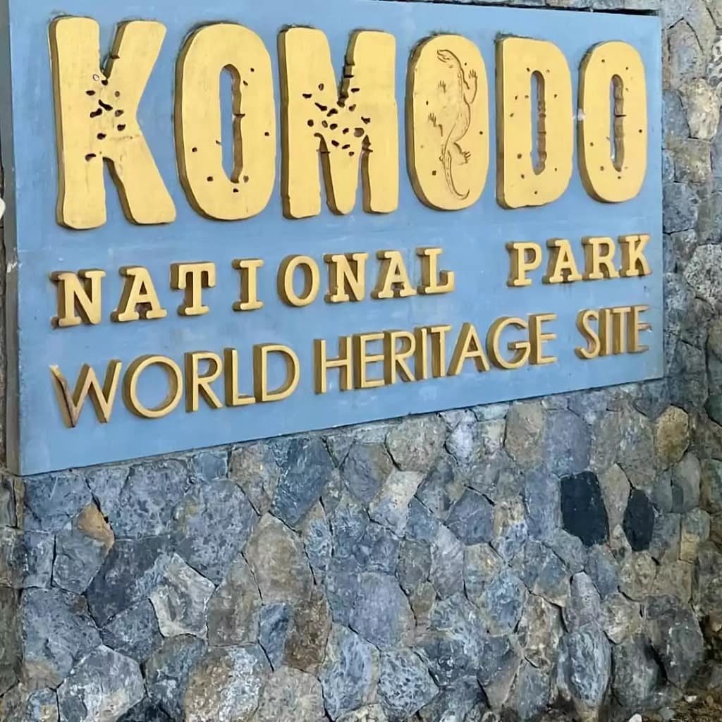 Where Does Komodo Dragon Live - Komodo National Park