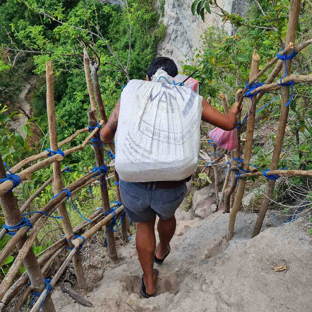 stairs at Kelingking Beach - Kelingking Beach entrance fee
