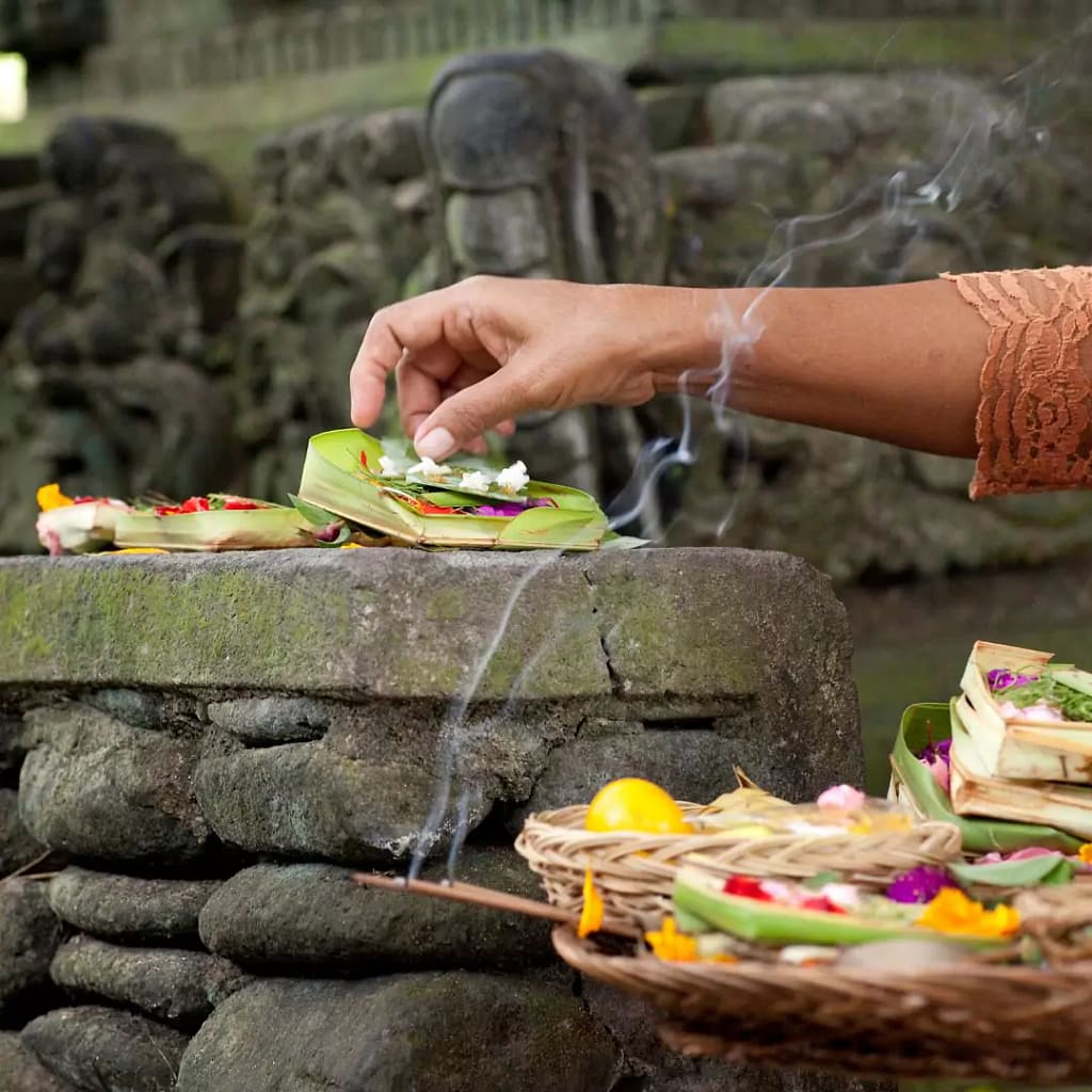 right hand photo of a Balinese woman placing canang sari in a sacred location and left hand carrying another pile of canang sari and incense. - offerings In Bali