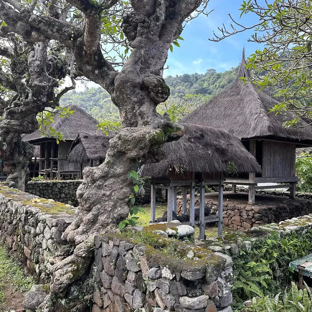 Step Back in Time: Discovering Tenganan Pegringsingan Village Bali - Where Ancient Bali Still Breathes