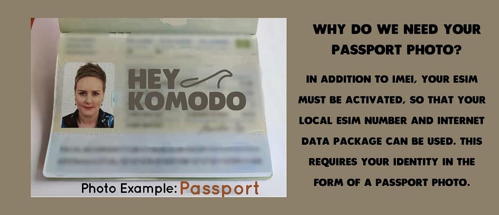 Infographic Why Do We Need Your Passport Photo