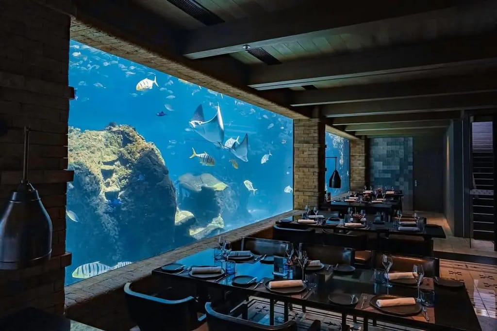 Koral Restaurant: An Underwater Dream
