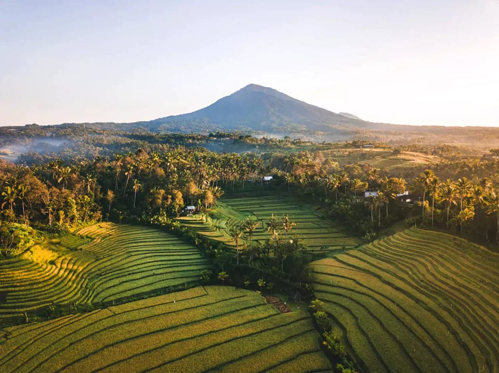Pupuan Rice Terrace – Bali’s Lush Green Paradise