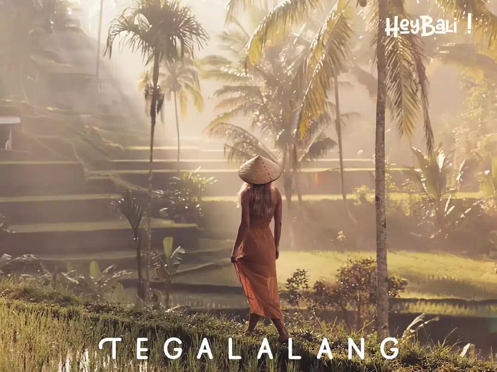 Tegalalang Rice Terraces - Best Tourist Attractions in Bali You Must Visit