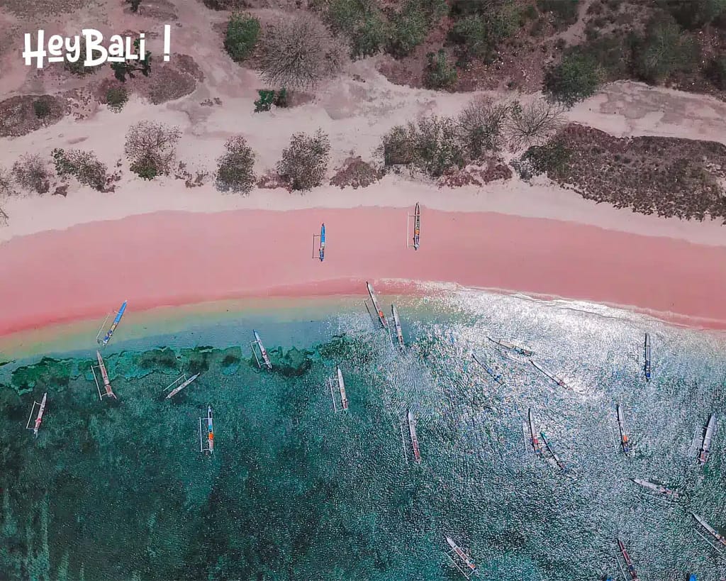 Pantai Tangsi - Pink Beach in Lombok