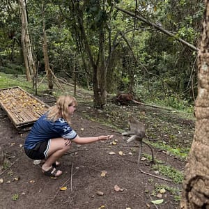 Beyond the Usual Temples: Your Complete Guide to the Kemenuh Monkey River Entrance Ticket