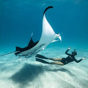 Private Snorkeling Nusa Penida