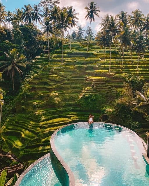 Inffinity Pool alas harum bali - Best Rice Terraces in Bali