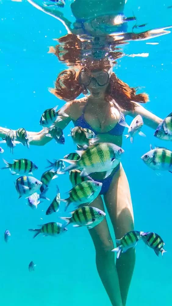 Private and Sharing Snorkeling Nusa Penida