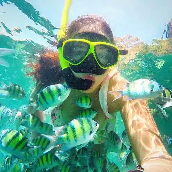Private And Sharing Snorkeling Nusa Penida