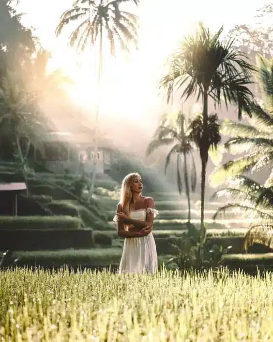 Tegallalang Rice Terraces