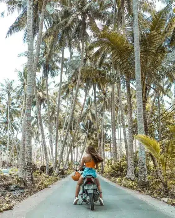 Bali 7-day itinerary