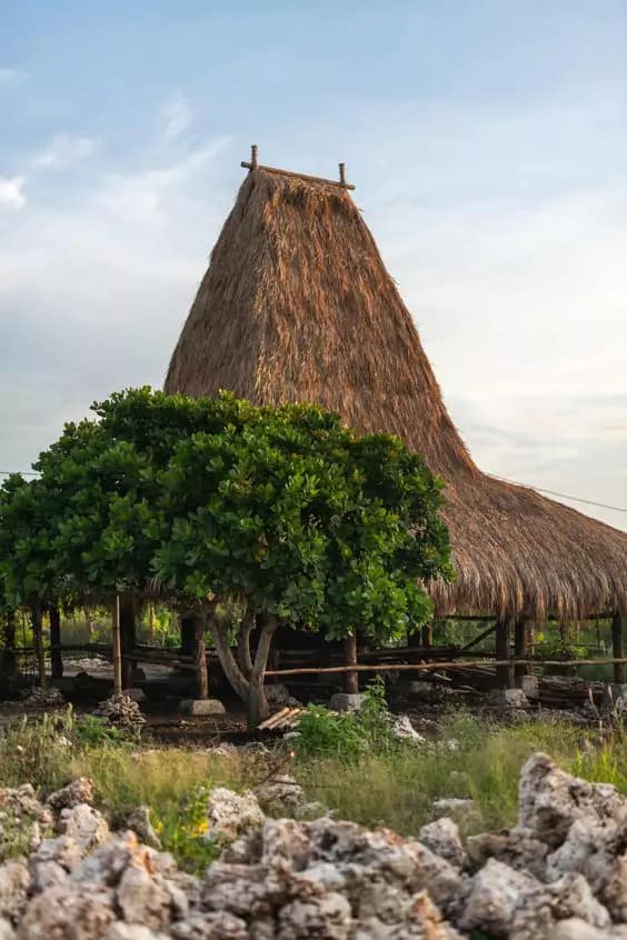 Sumbanese traditional house