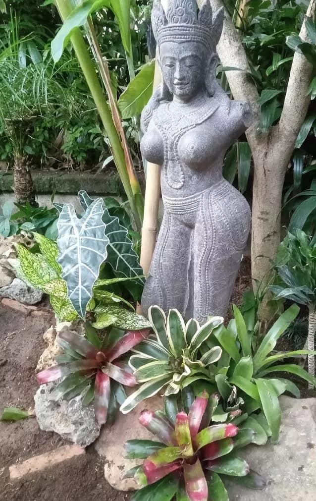 real photo Garden maintenance Bali