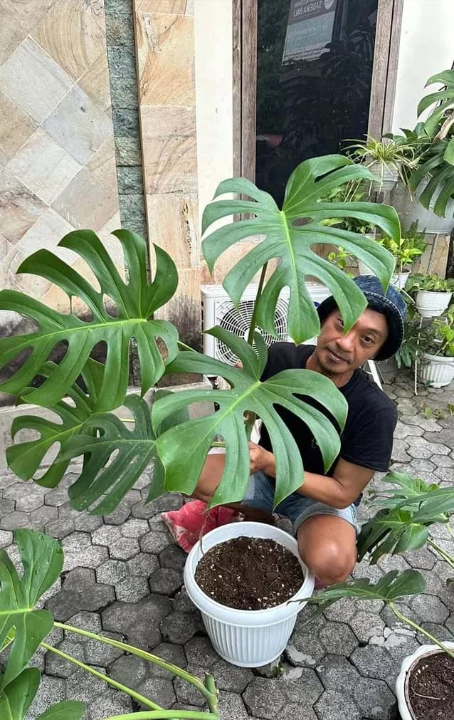 Mr Obe Gardener Bali