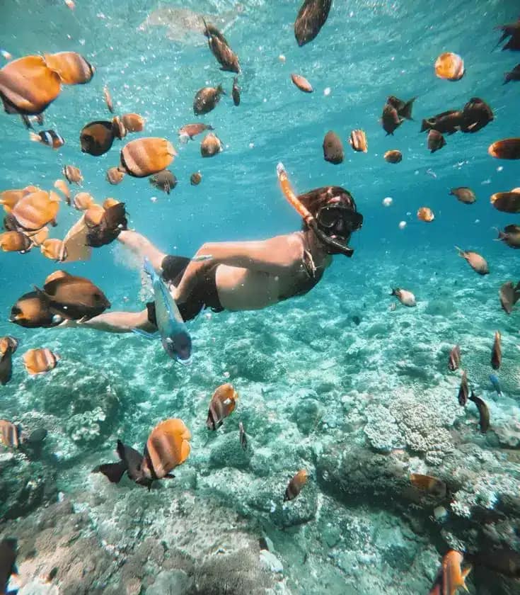 Private And Sharing Snorkeling Nusa Penida