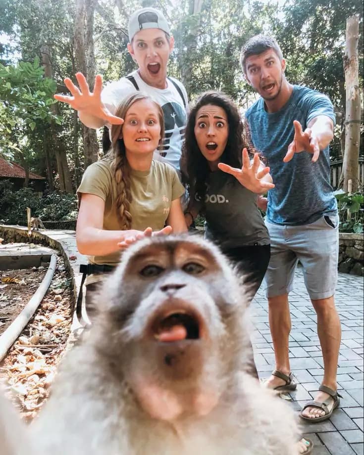 Bali Tourist Traps - Monkey Bali Mafia