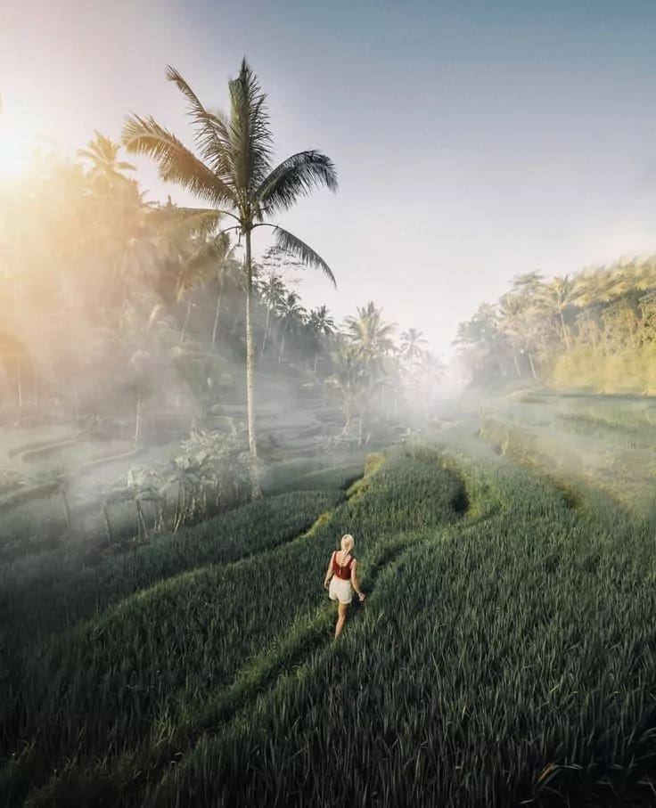 Best Rice Terraces in Bali