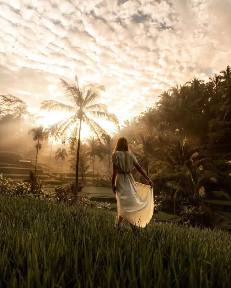 Tegalalang Rice Terrace  - Best Rice Terrace In Bali