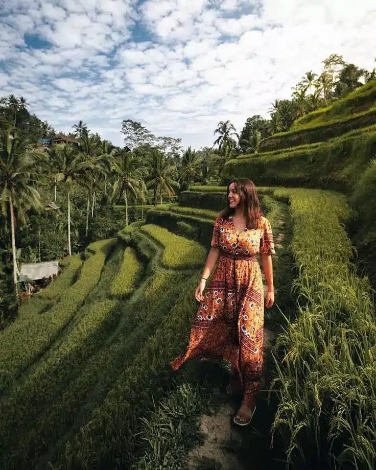 tegallalng rice terrace - Ubud Healing Retreat