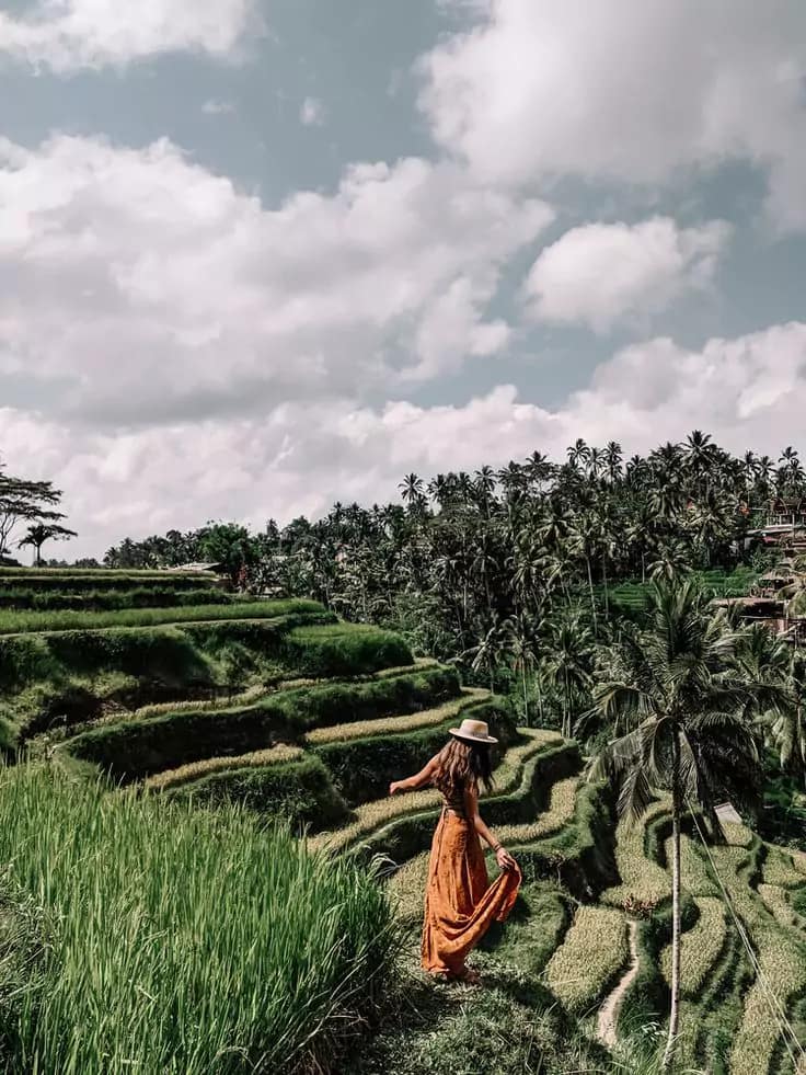 Best Rice Terraces in Bali