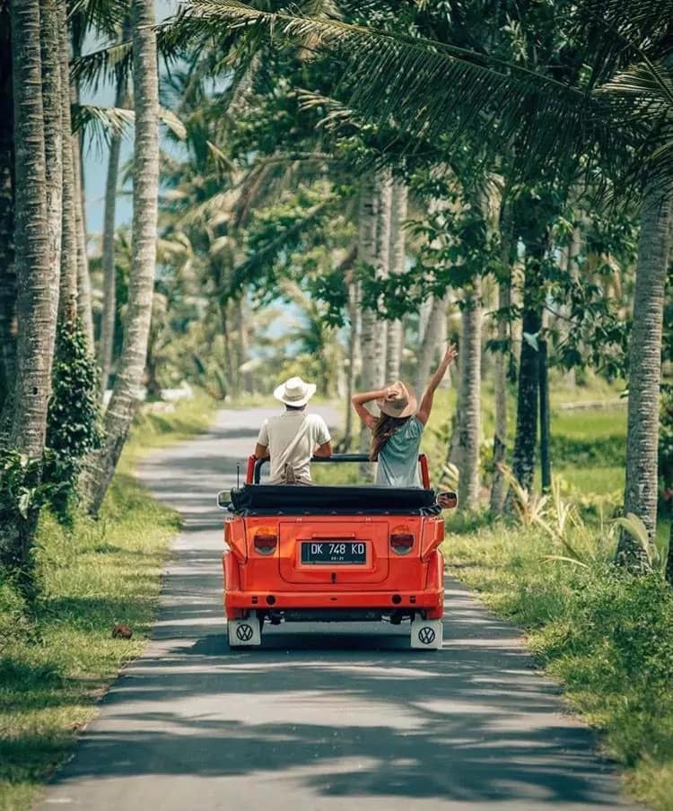 SURVIVAL HACKS From Bali Traffic - Bali Transport Scans