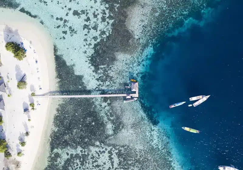 Full Day Komodo Tour With Speedboat