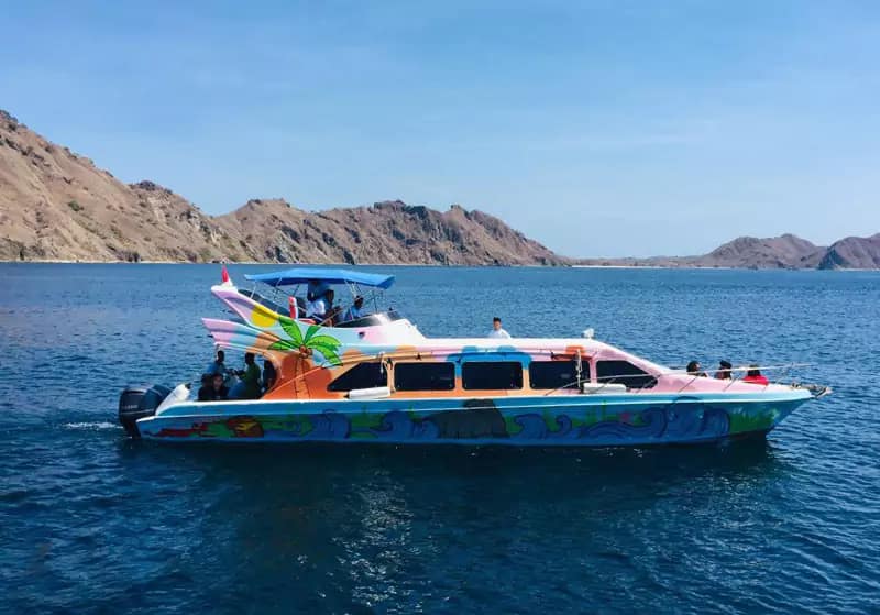 Full Day Komodo Tour With Speedboat