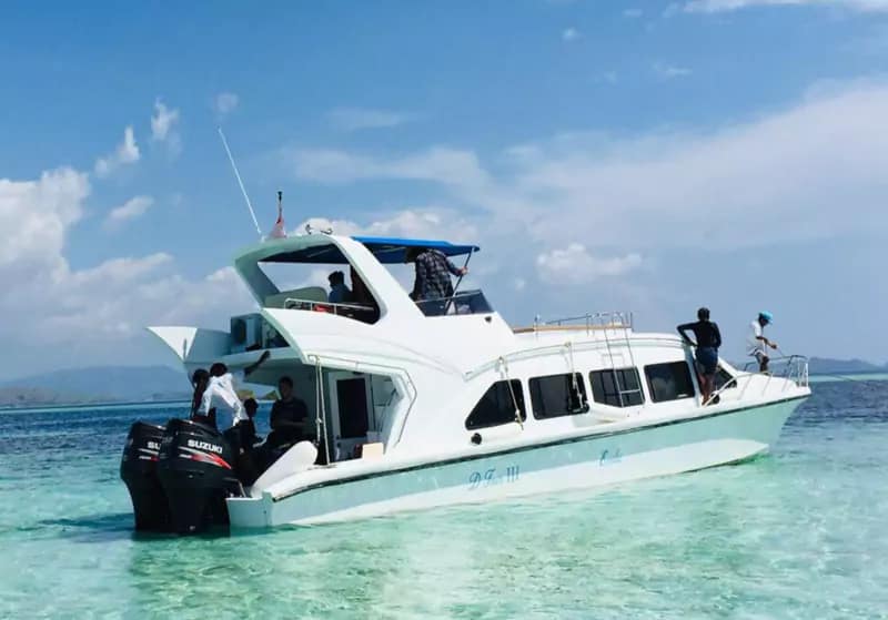 Full Day Komodo Tour With Speedboat