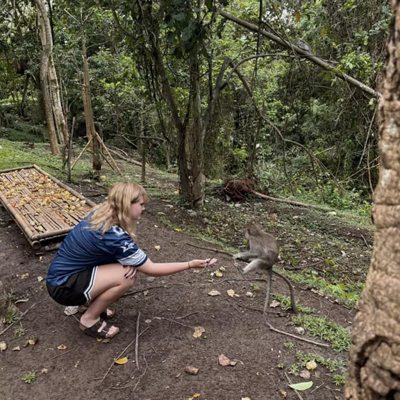 Beyond the Usual Temples: Your Complete Guide to the Kemenuh Monkey River Entrance Ticket