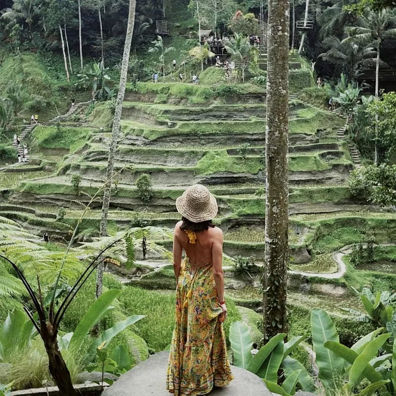 Is Ubud Worth Visiting? Or Are We All Just Hypnotized by Instagram? 10 Honest Reasons Travelers Keep Coming Back
