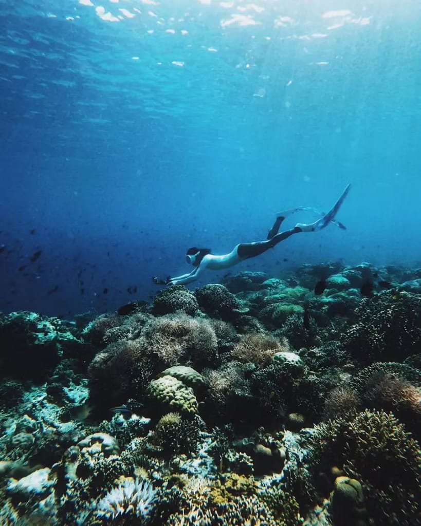 Dive at Kanawa Island