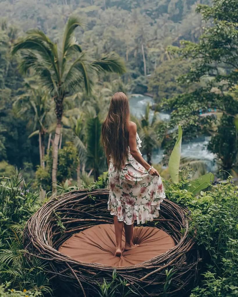 Ubud Day Tours: Where the Magic's Hiding in Plain Sight