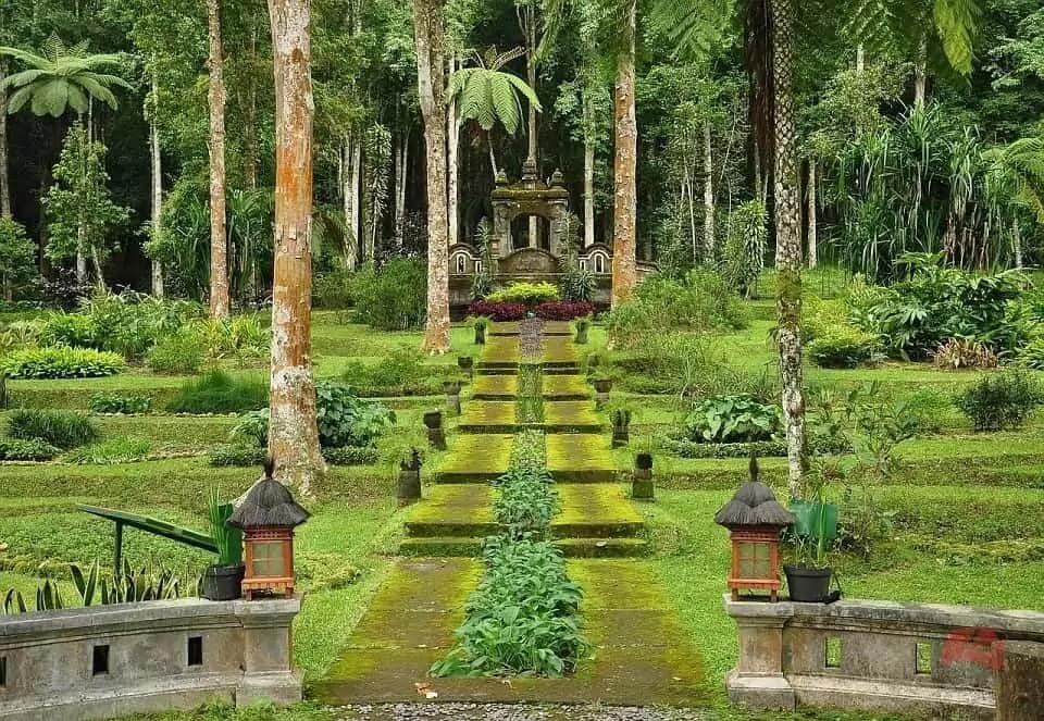 Tree-hugger or not, you’ll love getting lost in Bali Botanic Gardens. Lush, peaceful, and one of the greenest things to do in Bedugul.