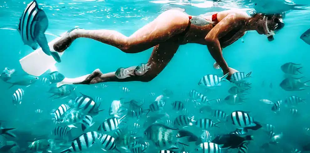 Gili Nanggu Snorkeling Tour