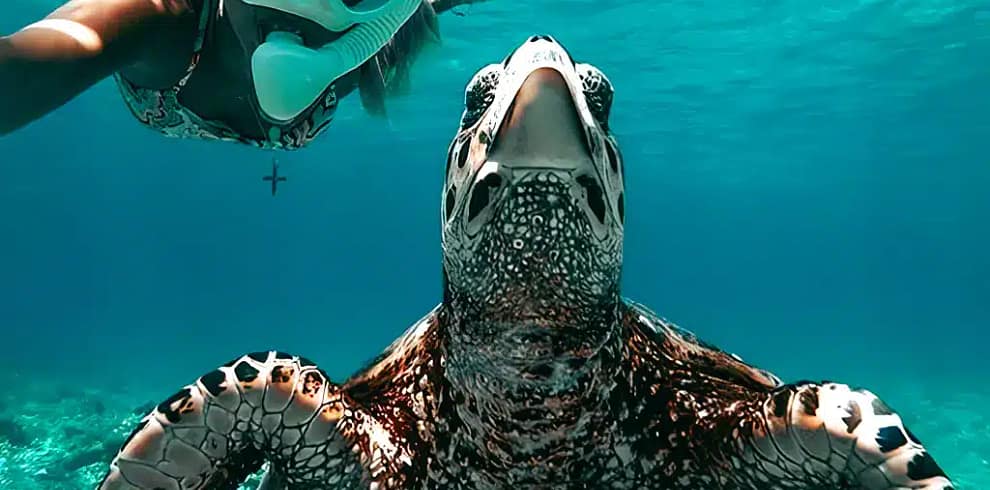 Private Snorkeling Tour Gili Trawangan