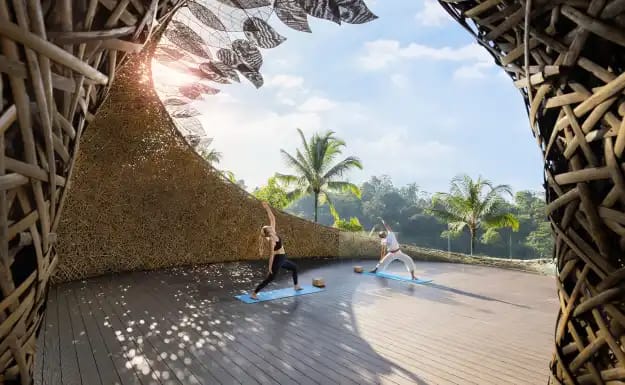 yoga Activities at Padma Resort Ubud - Best Hotels in Bali
