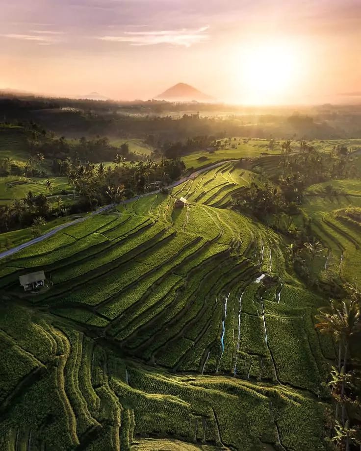 Sunrise at Jatiluwih Rice Terrace - Best Sunrise Spot In Bali