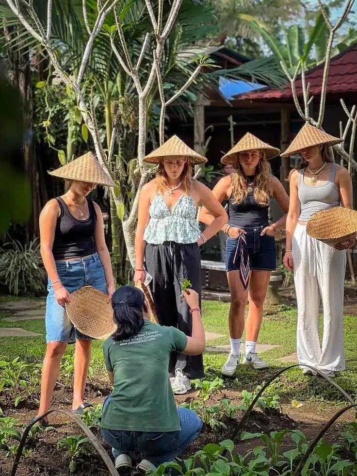 Plant something at bali - Things to Do in Bali Today 1 July 2025