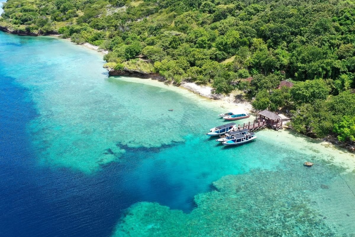 Bali Best Snorkeling Spots - Menjangan Island