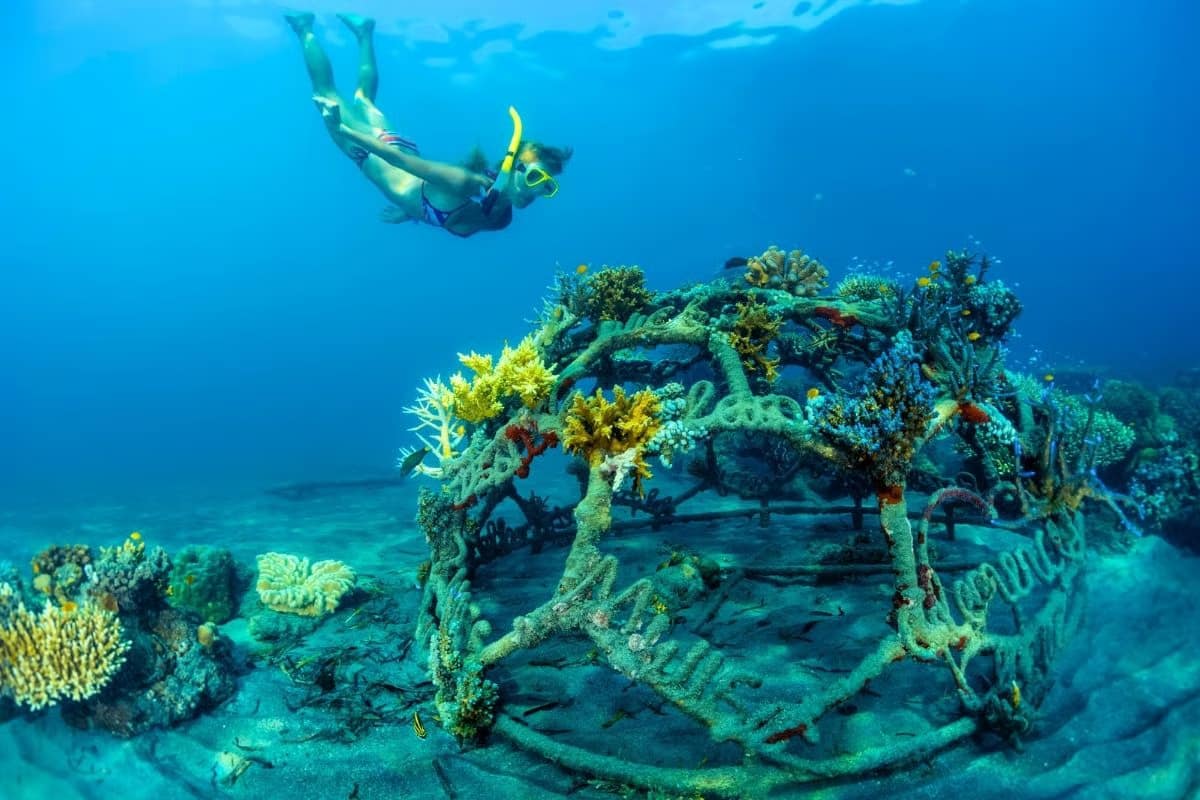 Bali Best Snorkeling Spots - Menjangan Island