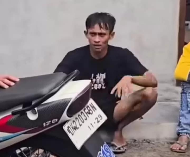 Monkey Forest Bali incident