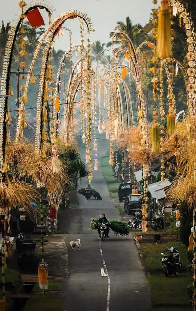 photo of a village in Bali filled with penjor during Galungan holiday - first time in Bali